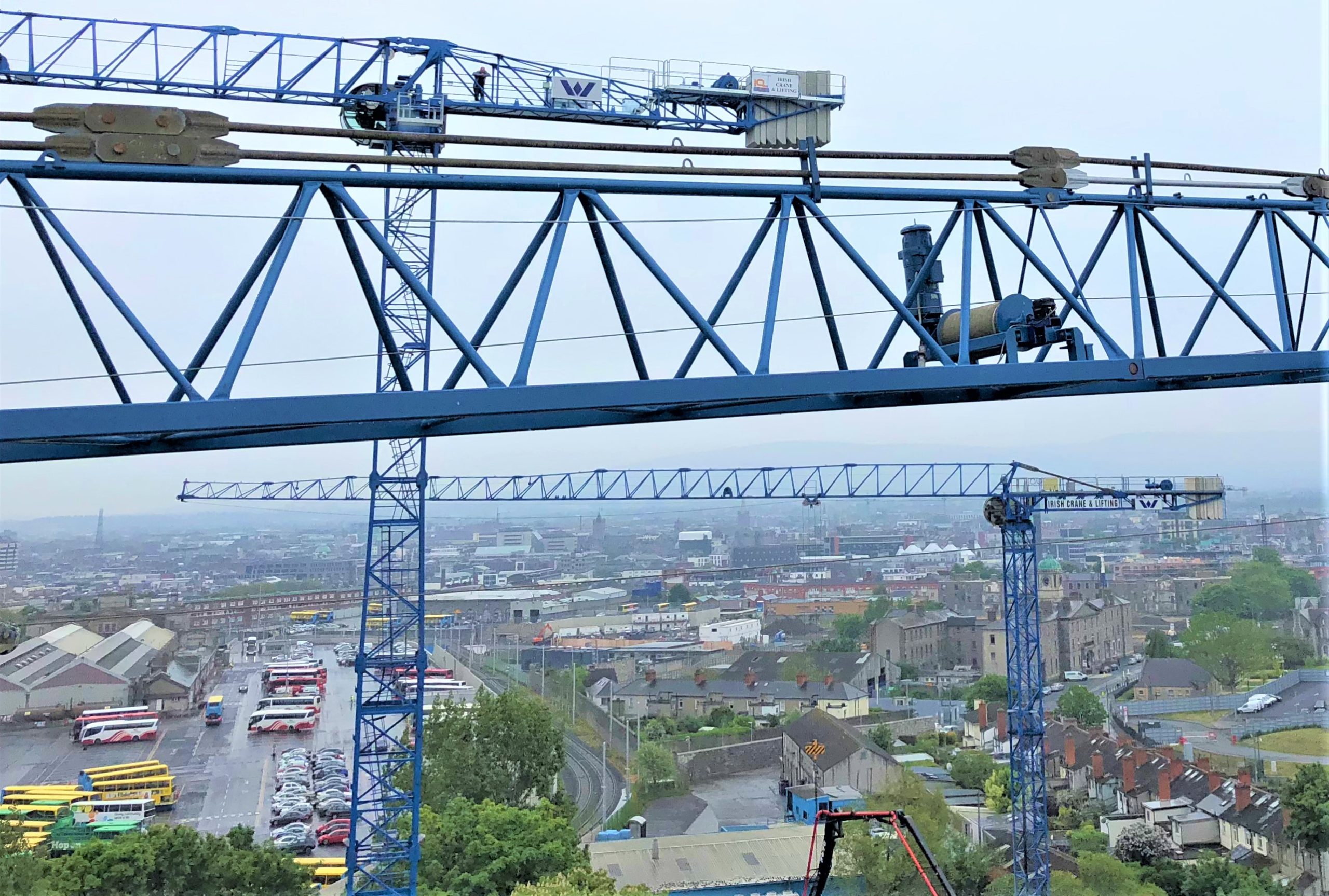 Cranes Today: Irish Cranes brings Raimondis to Dublin